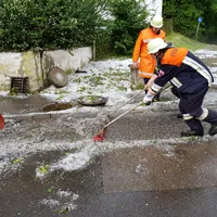 20190620_172845.jpg